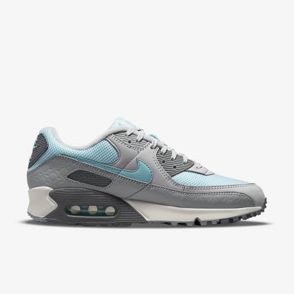 Nike Air Max 90 Moški Superge Platina | NK075ECD