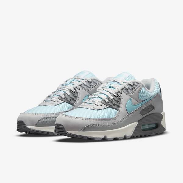 Nike Air Max 90 Moški Superge Platina | NK075ECD