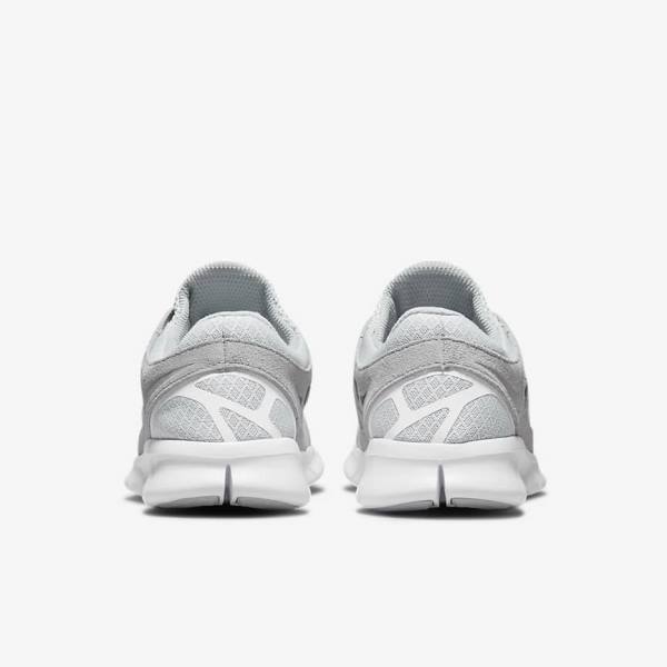 Nike Free Run 2 Moški Superge Platina | NK317BXM