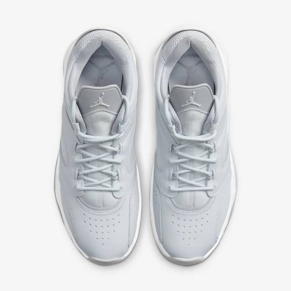 Nike Jordan Point Lane Moški Superge Platina | NK961MCG