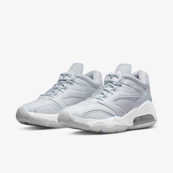 Nike Jordan Point Lane Moški Superge Platina | NK961MCG