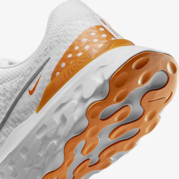 Nike React Infinity Run Flyknit 3 Road Moški Tekaški Čevlji Bela / Siva | NK564ZNT